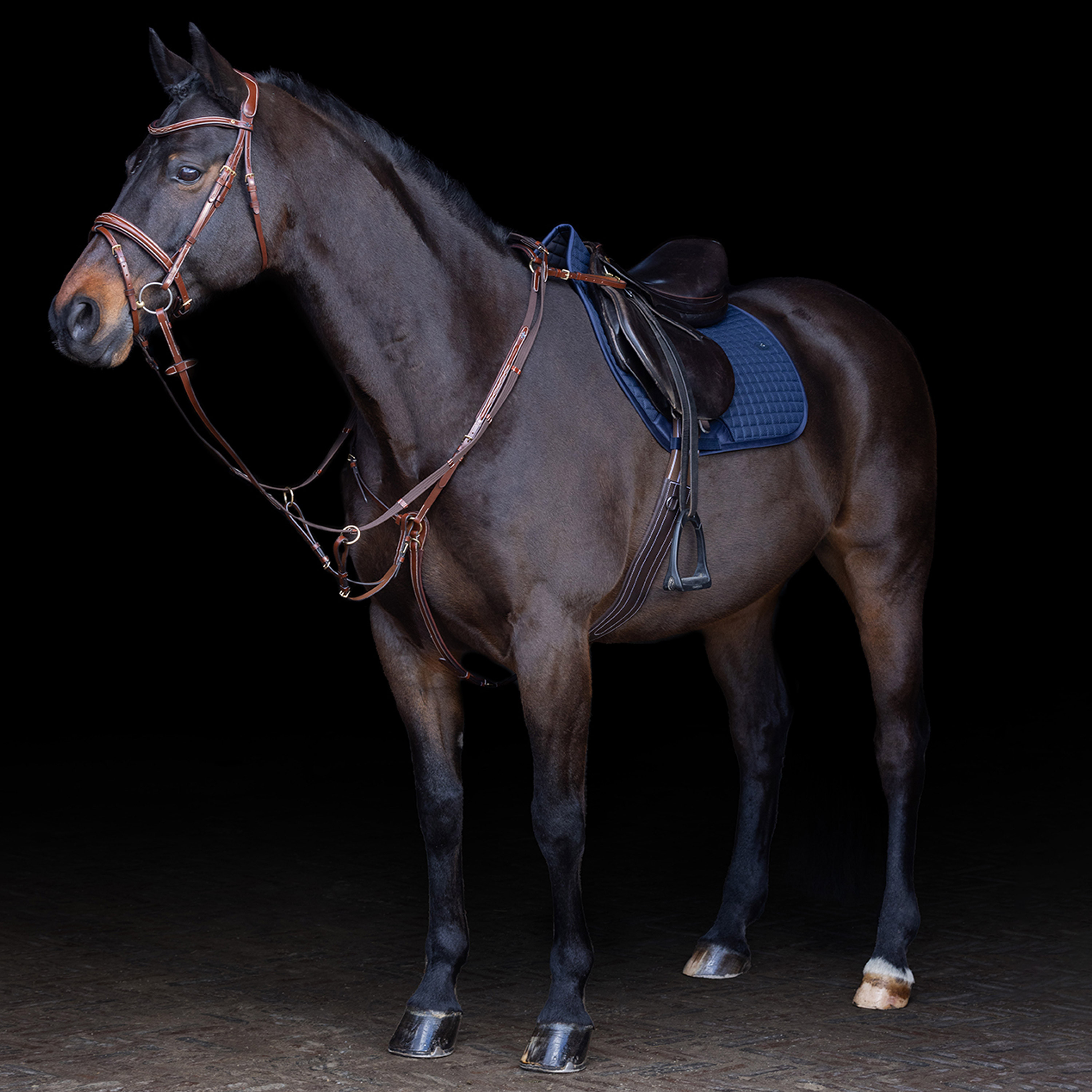 Martingale HV Polo Legacy Castanho