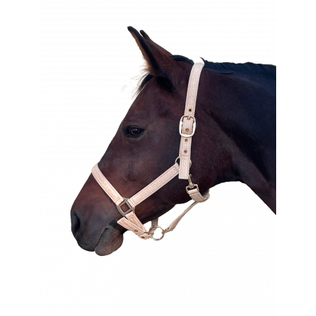 Caveção Canter Malibu