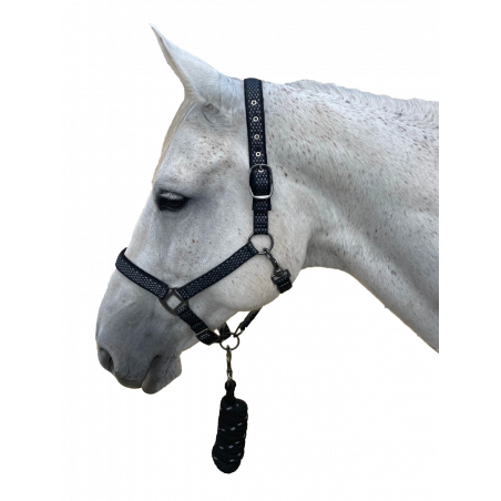 Conjunto de cabeçada + corda Sonoma Canter