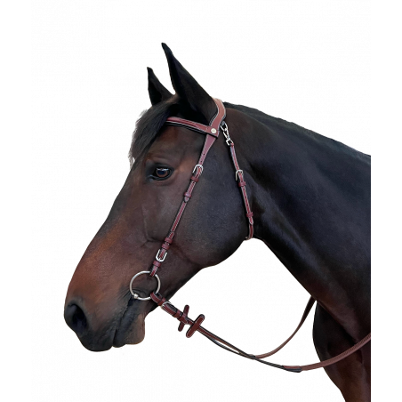 Bridão Flags & Taça Freedom