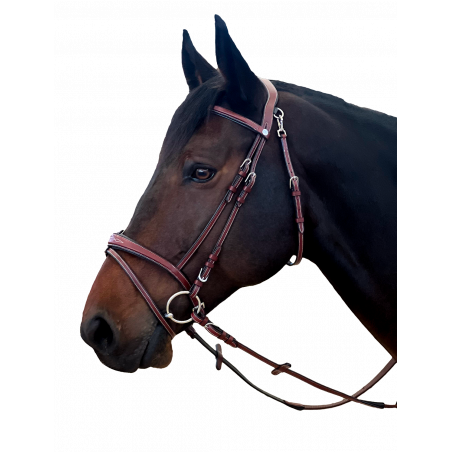 Bridão Flags & Cup Nova Iorque