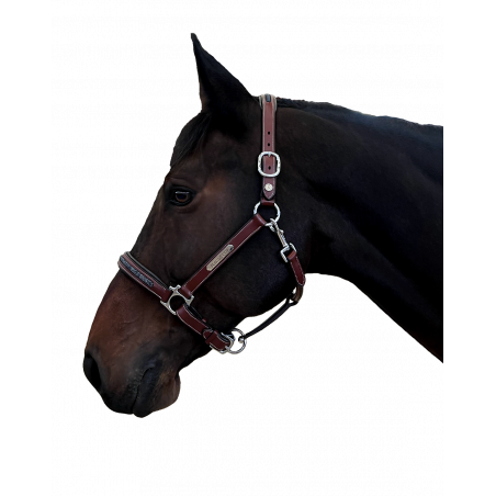 Caveção Aachen Flags & Cup