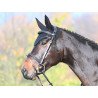 Bridão Carat Jump'In One Premium - Preto