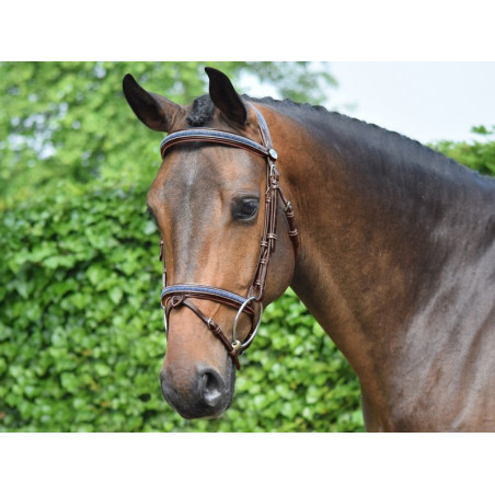 Filete Jump'In Crystal focinheira combinada Week