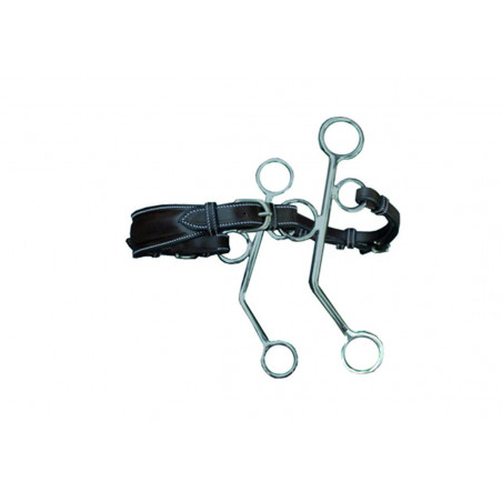 Hackamore Jump'In couro hastes longas