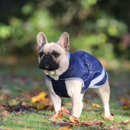 Capa para cão Bucas Freedom 150g