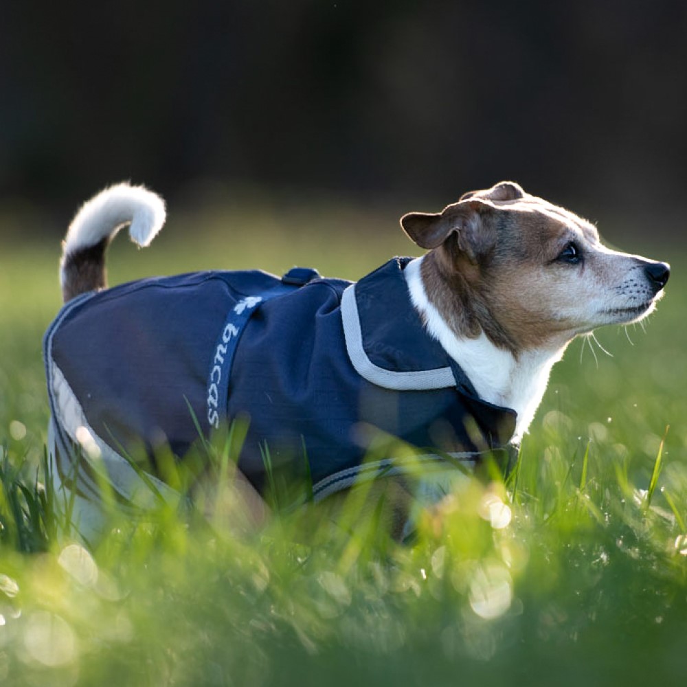 Capa para cão Bucas Freedom 150g Azul-marinho