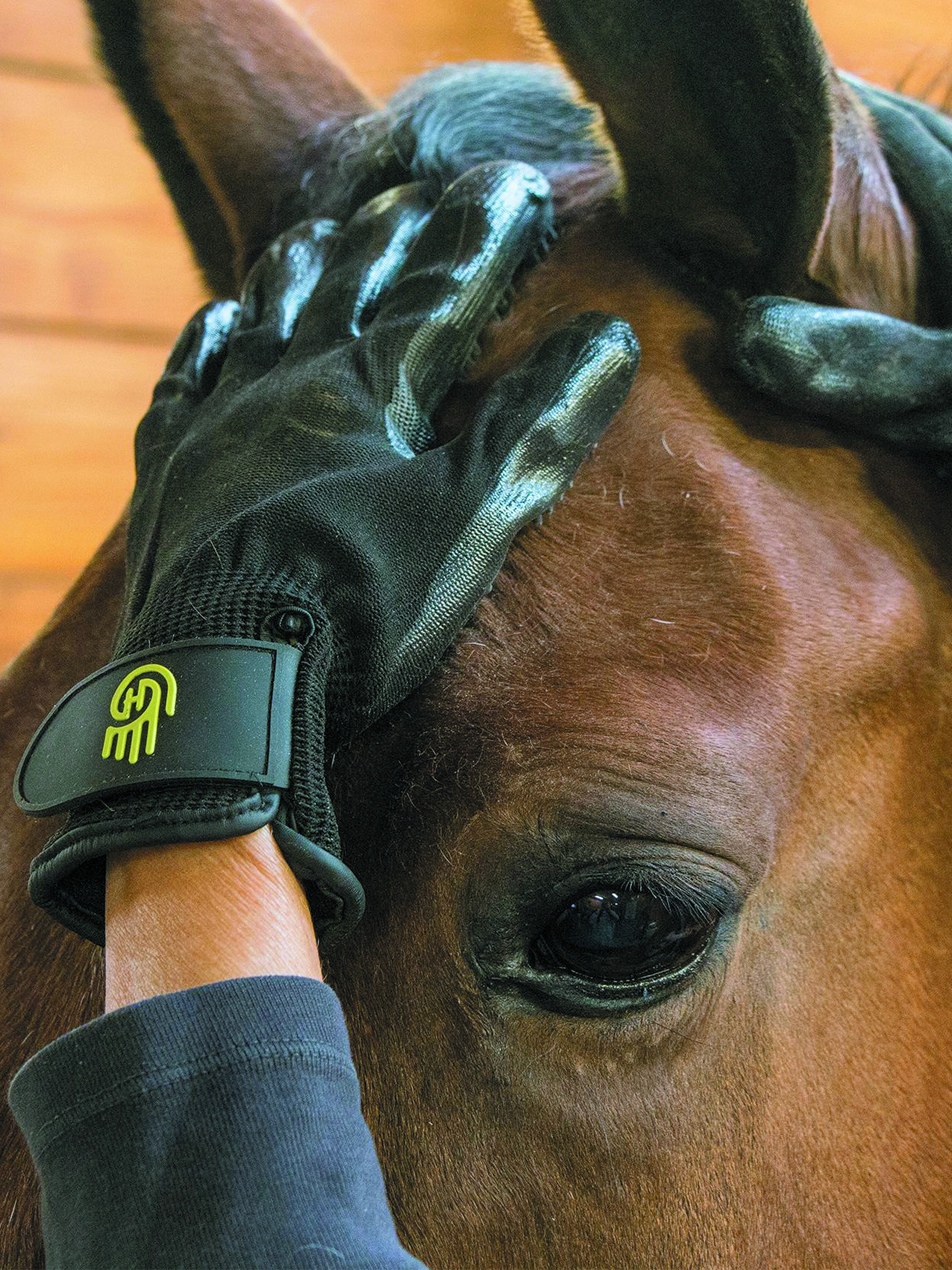 Luva de escovagem LeMieux Hands On Preto