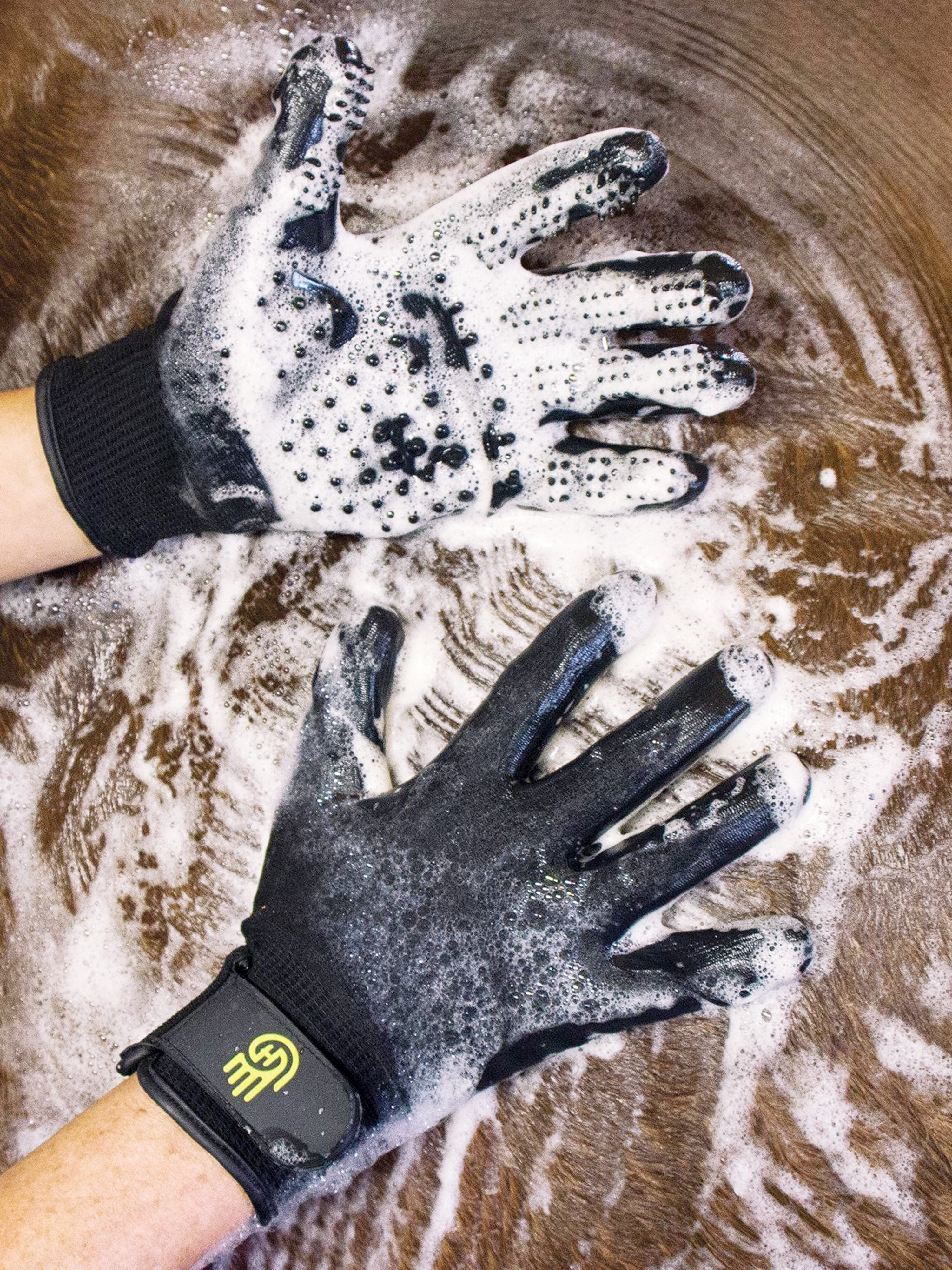 Luva de escovagem LeMieux Hands On Preto