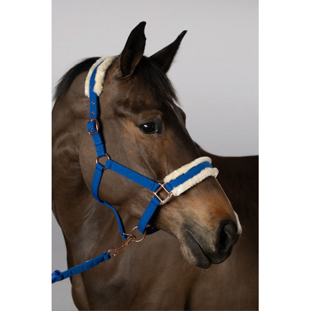 Cabresto e Guia Harcour Holly