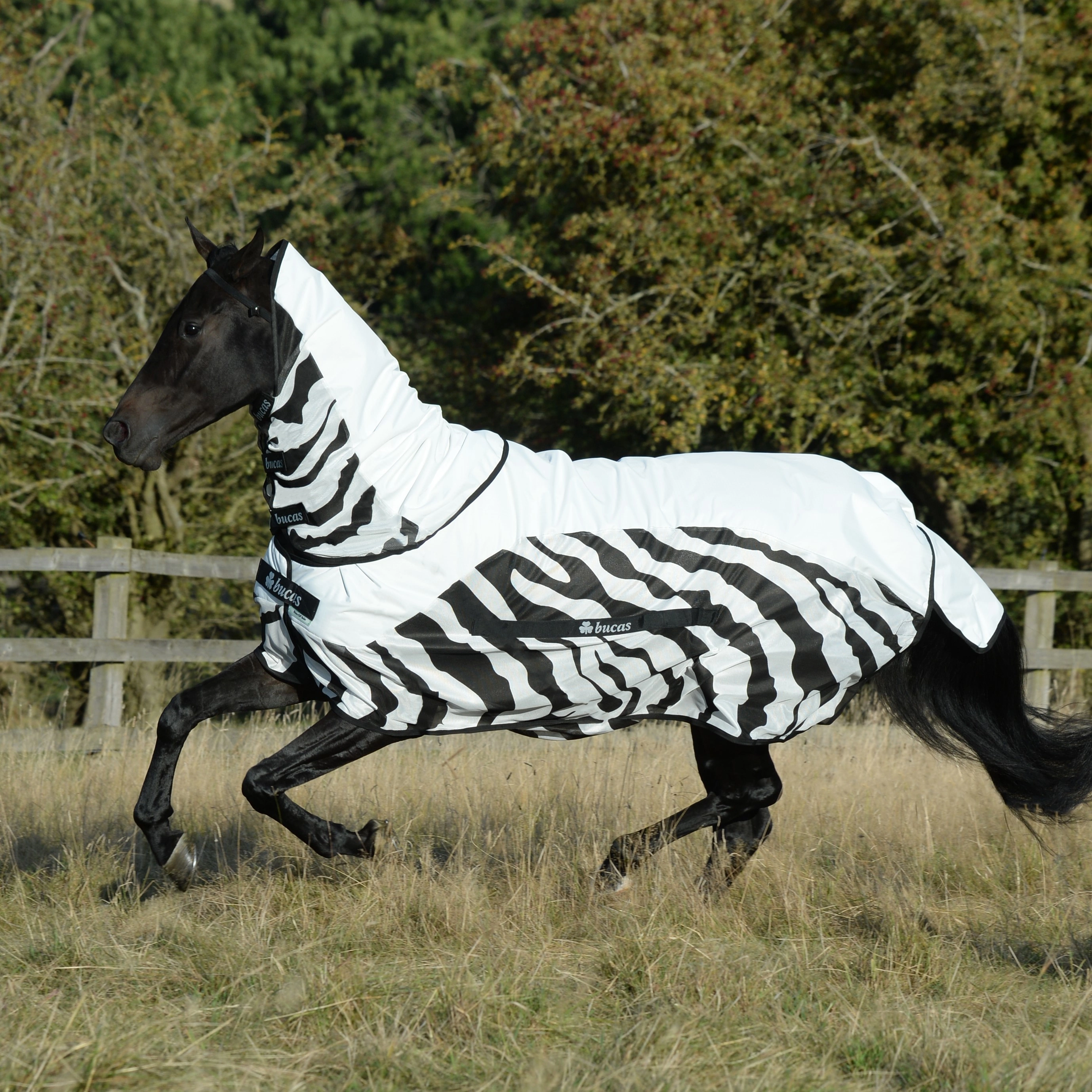 Capa anti-moscas Bucas Buzz-Off Rain Zebra com cobre-pescoço Capa anti-moscas Bucas Buzz-Off Rain Zebra com cobre-pescoço