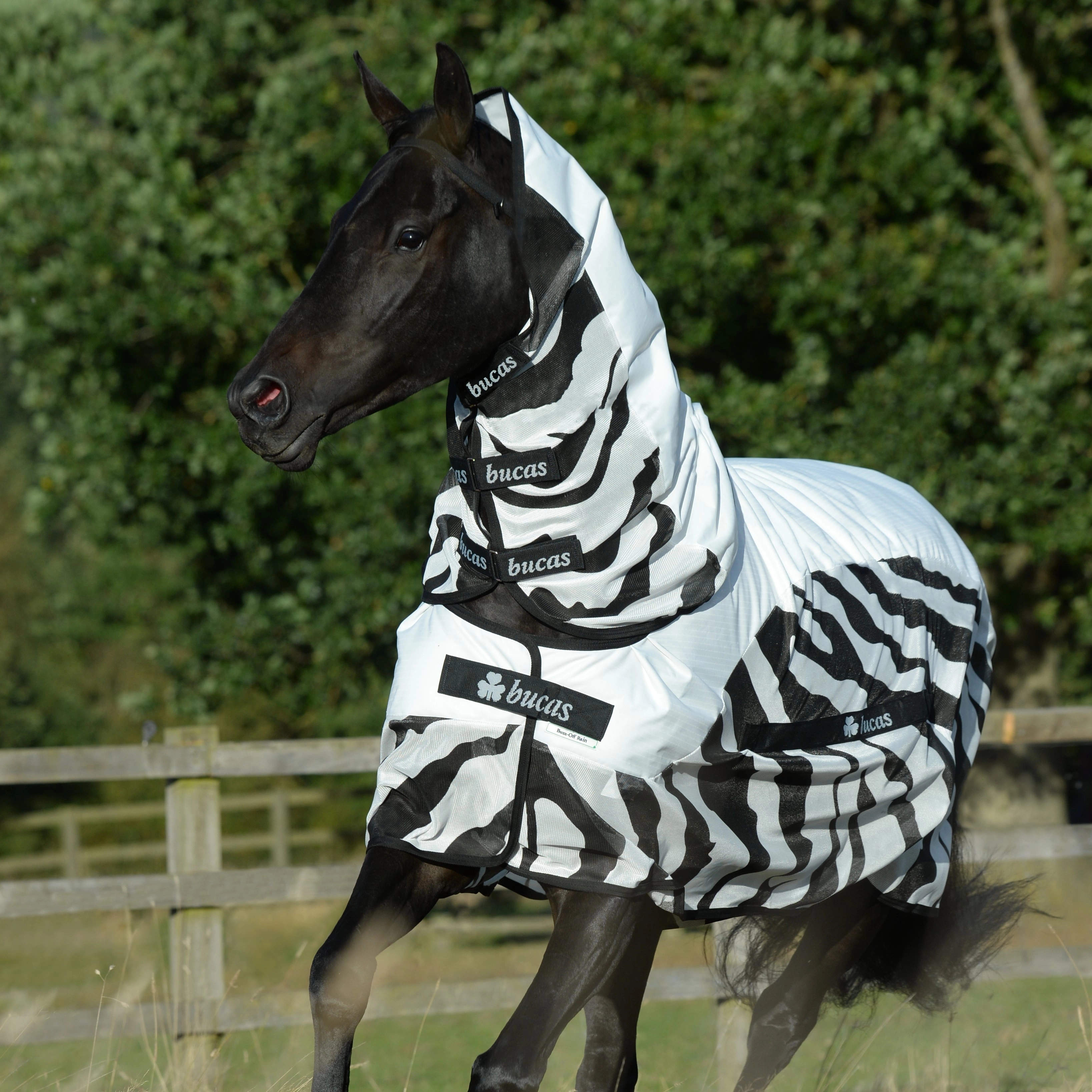 Capa anti-moscas Bucas Buzz-Off Rain Zebra com cobre-pescoço Capa anti-moscas Bucas Buzz-Off Rain Zebra com cobre-pescoço