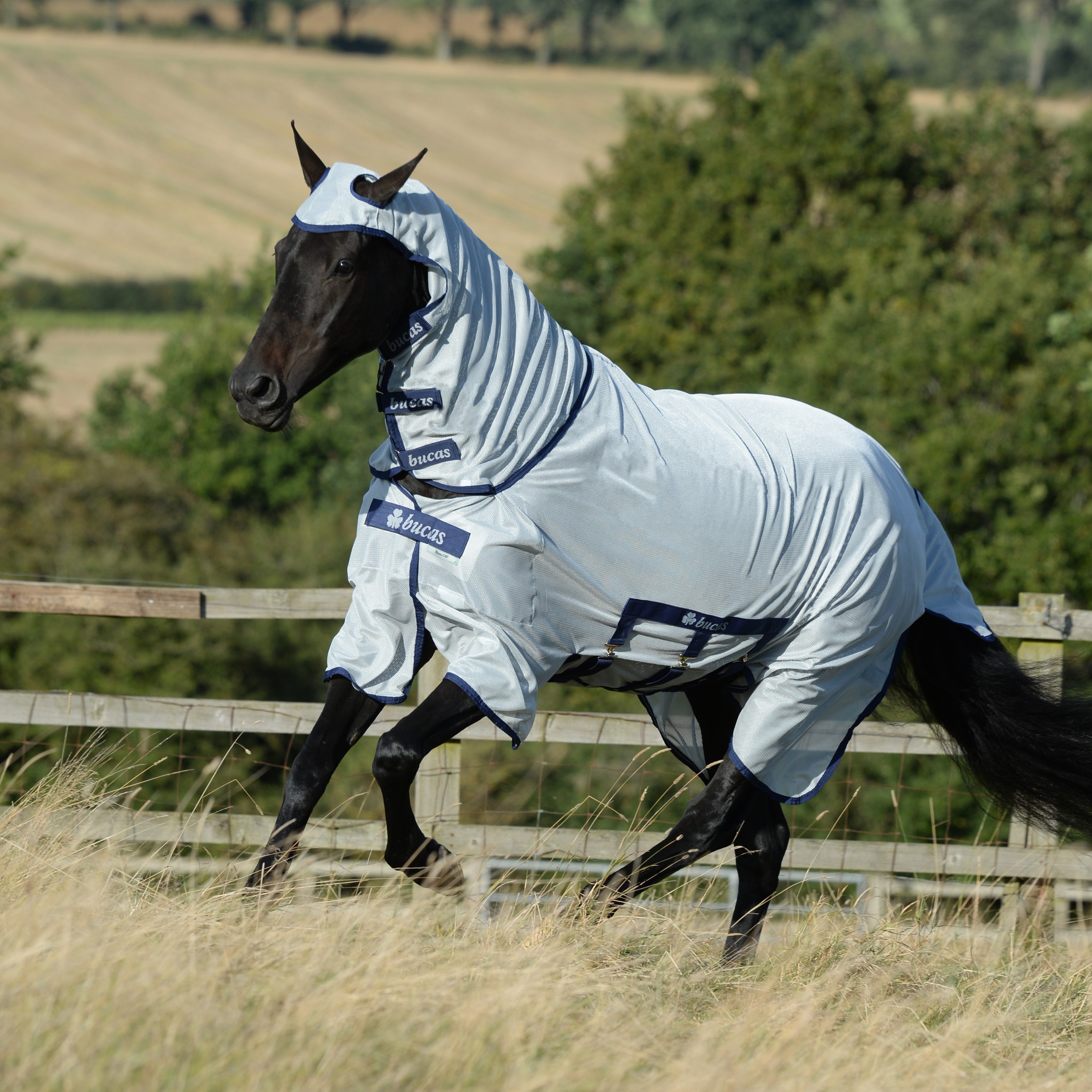 Capa anti-moscas Bucas Buzz-Off X Big Neck Prata
