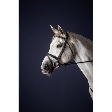 Bridão Muserola Combinada Dy'on New English Collection