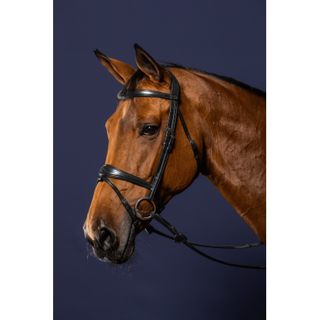 Bridão Muserola Combinada Anatômica Dy'on New English Collection