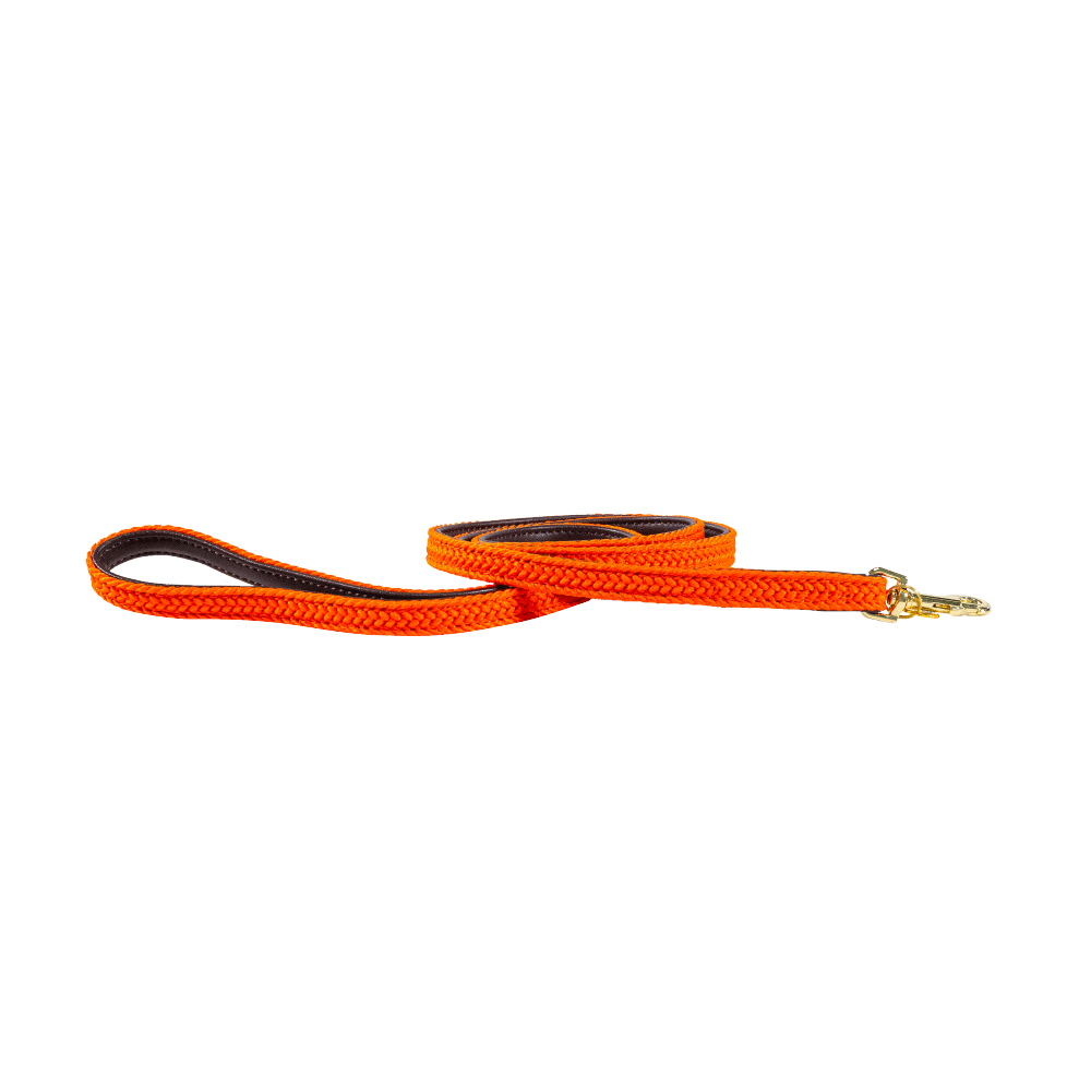 Trela para cão de nylon entrançado 120 cm Kentucky Trela para cão de nylon entrançado 120 cm Kentucky