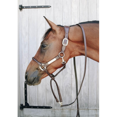 Longe e corrente de apresentação em couro Kentucky