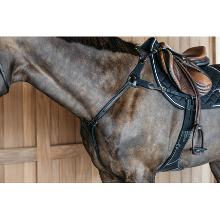 Peitoral de 5 pontos com elásticos D Collection Dy'on