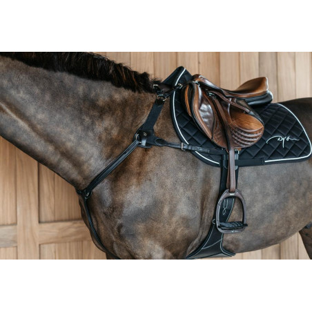 Peitoral de 5 pontos com elásticos New English Collection Dy'on