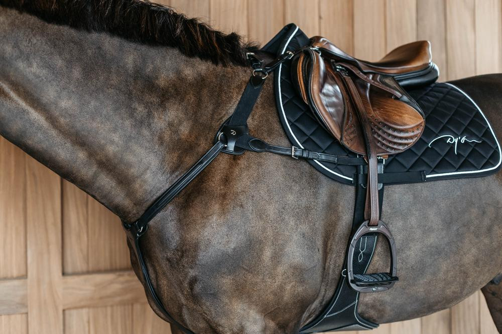 Peitoral de 5 pontos com elásticos New English Collection Dy'on Preto Peitoral de 5 pontos com elásticos New English Collection Dy'on Preto