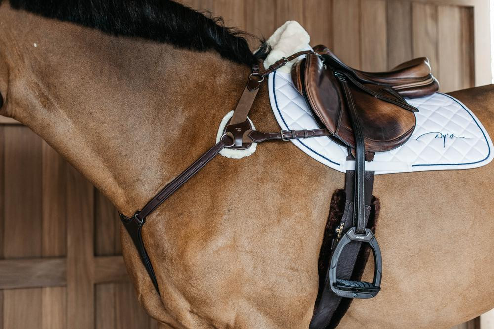 Peitoral de 5 pontos com elásticos New English Collection Dy'on Preto Peitoral de 5 pontos com elásticos New English Collection Dy'on Preto