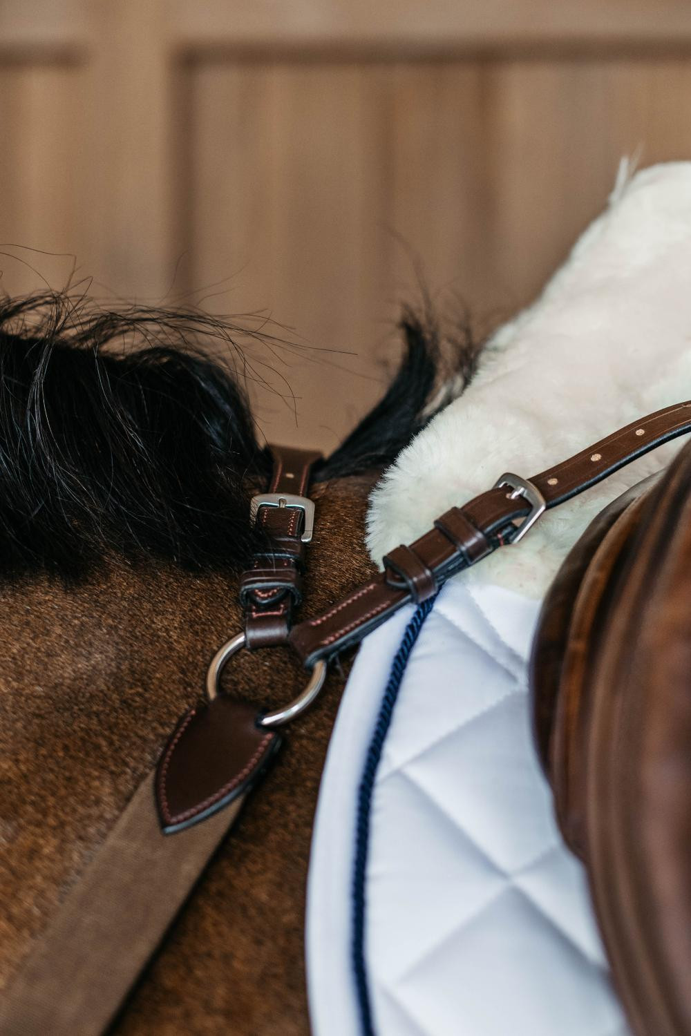 Peitoral de 5 pontos com elásticos New English Collection Dy'on Preto Peitoral de 5 pontos com elásticos New English Collection Dy'on Preto