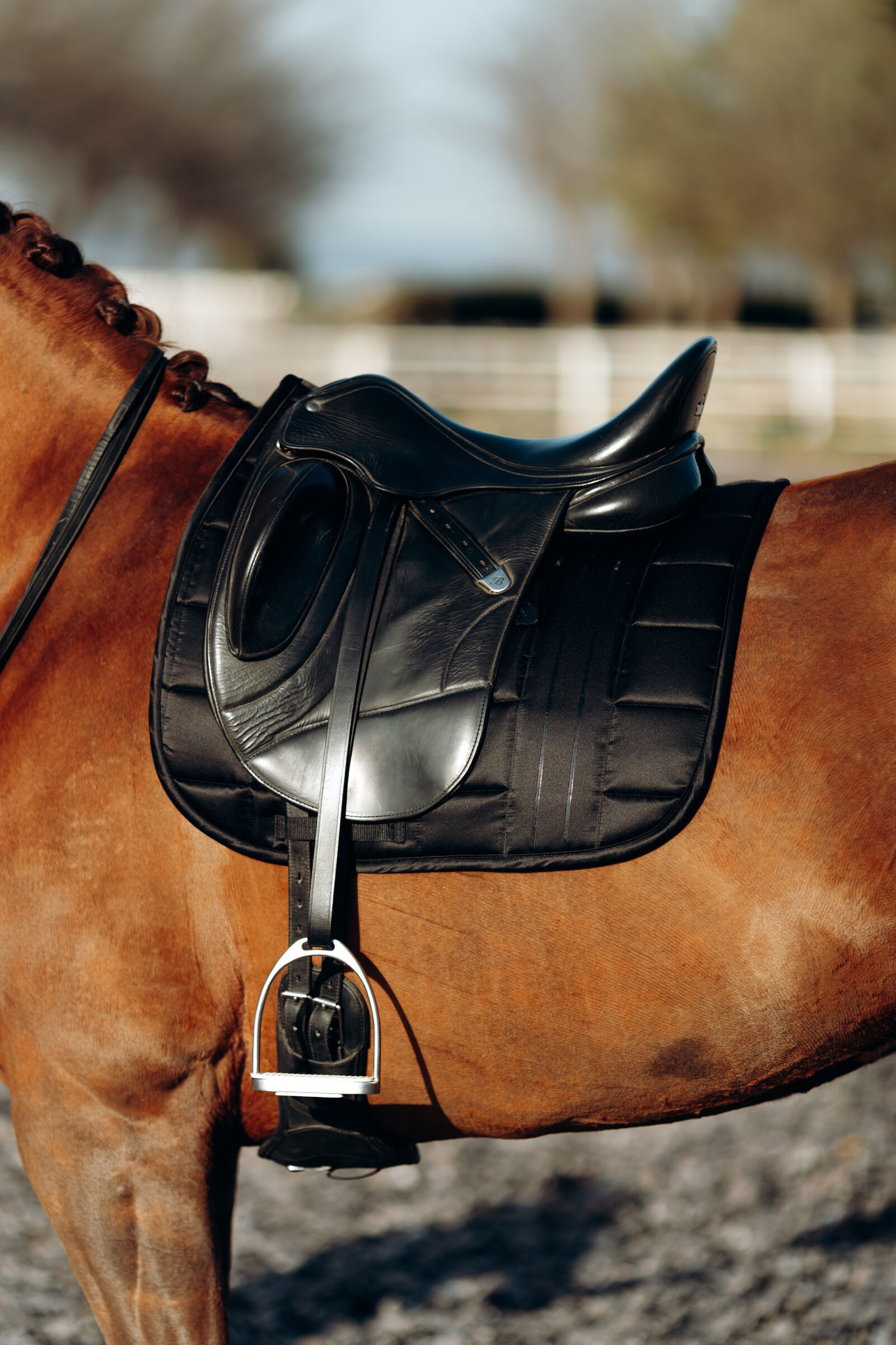 Sela de adestramento Drew B Vertigo Preto