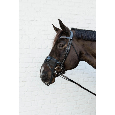 Filete de nariz Kentucky