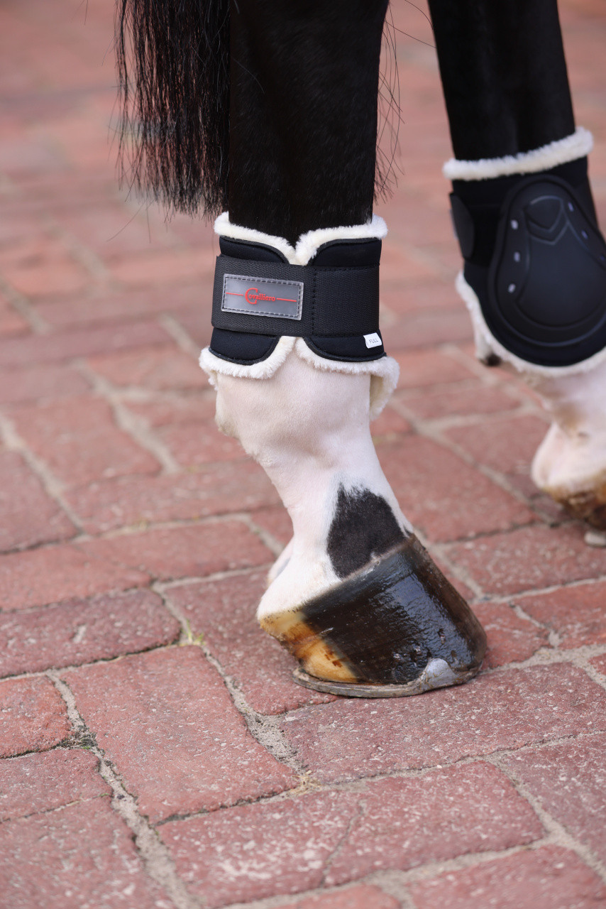 Protetor de boleto com lã TecAir Covalliero Preto Protetor de boleto com lã TecAir Covalliero Preto