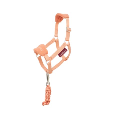 Cabresto para hobby horse LeMieux