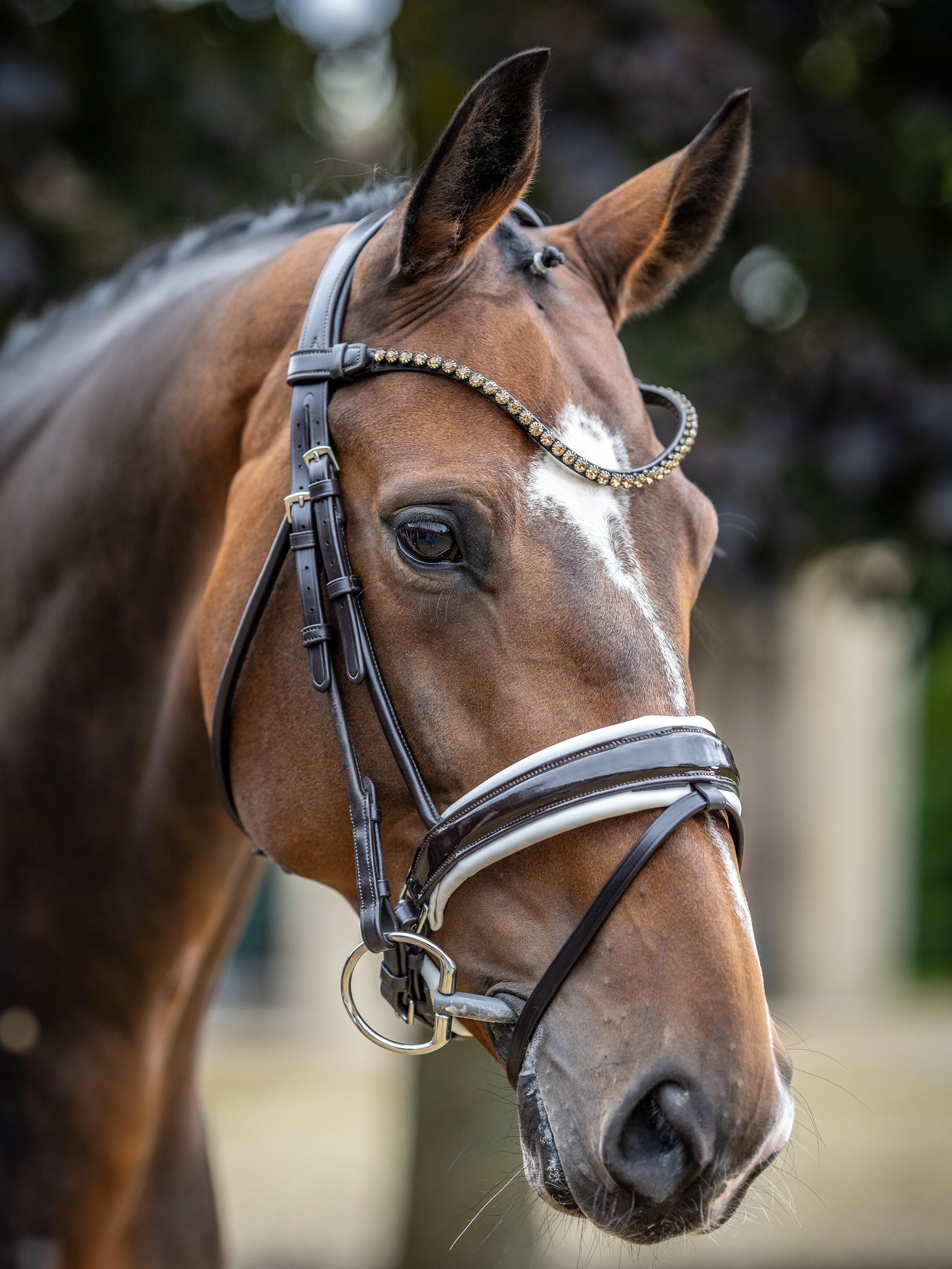 Bridão LeMieux Kudos Patent dressage Castanho / branco