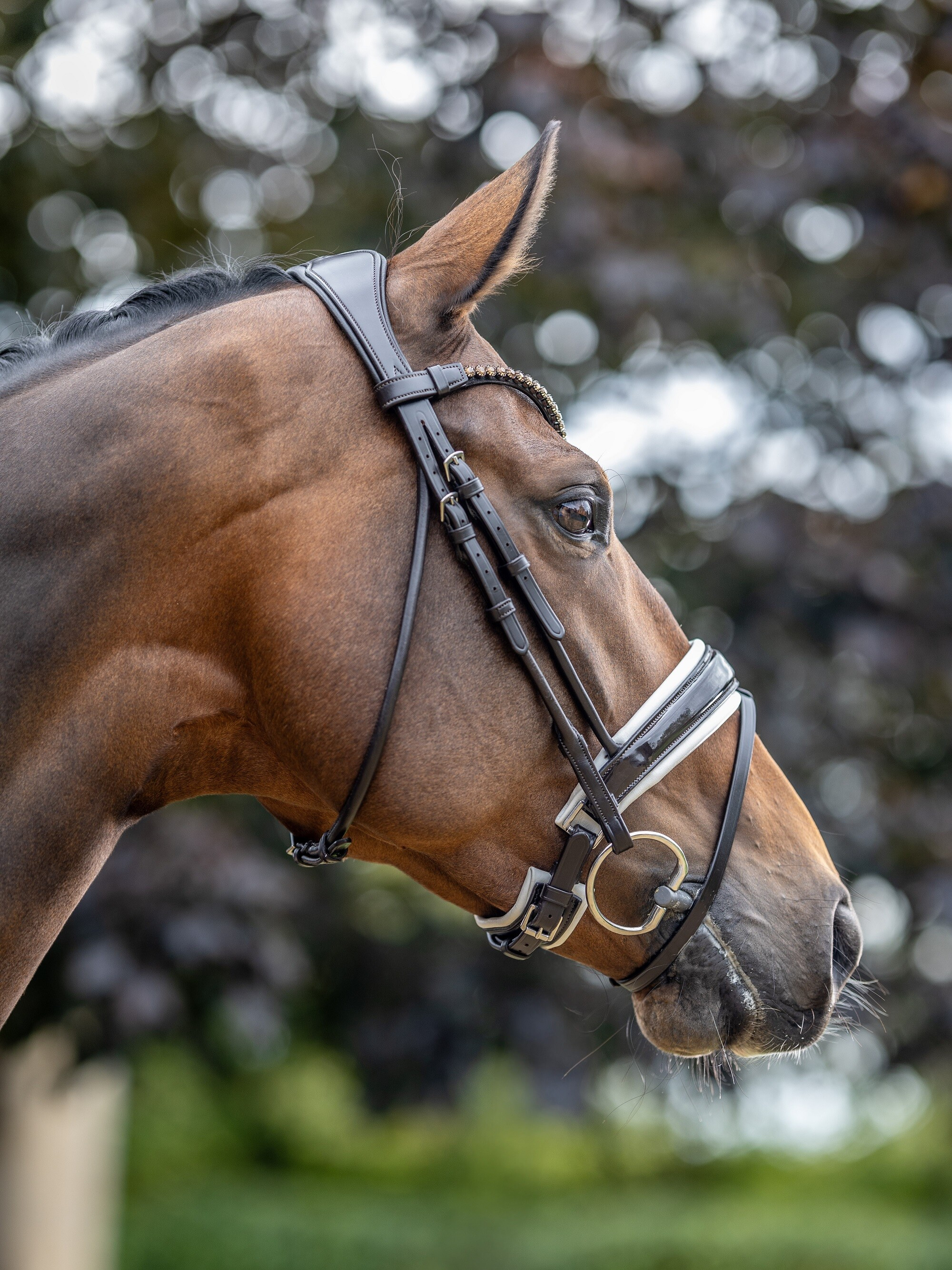 Bridão LeMieux Kudos Patent dressage Castanho / branco