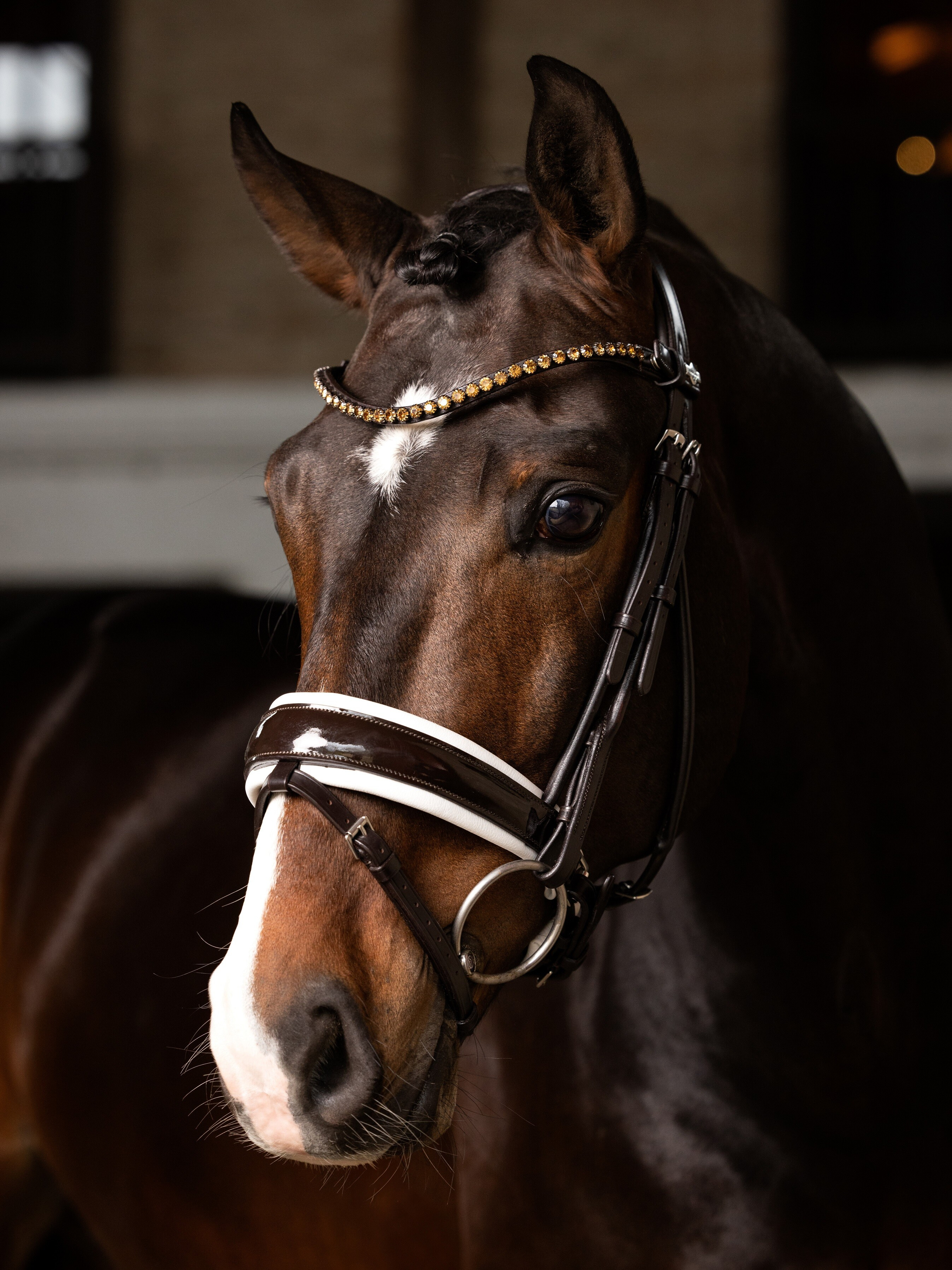 Bridão LeMieux Kudos Patent dressage Castanho / branco