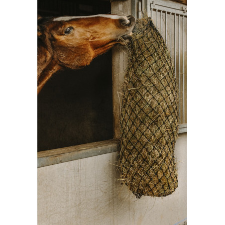 Fenoeira longa Hippotonic