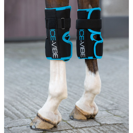 Guêtres Ice-Vibe Joelhos Horseware