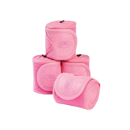 Bandas de polo Weatherbeeta Prime conjunto com 4 peças