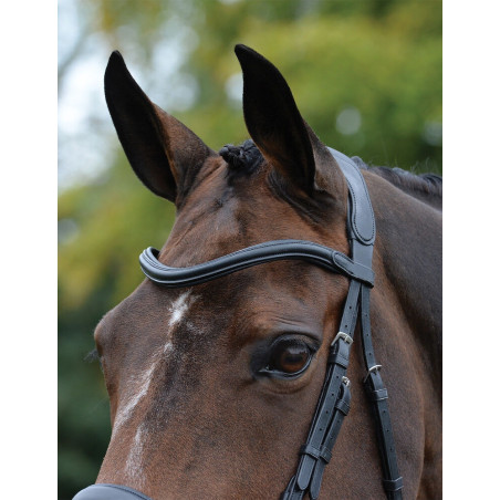 Caveção anatômico Collegiate ComFiTec Vogue