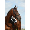 Cavesse Bridon Collegiate Syntovia+ - Preto