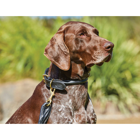 Coleira para cão Weatherbeeta couro redondo