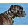 Coleira de couro para cão Weatherbeeta - Preto