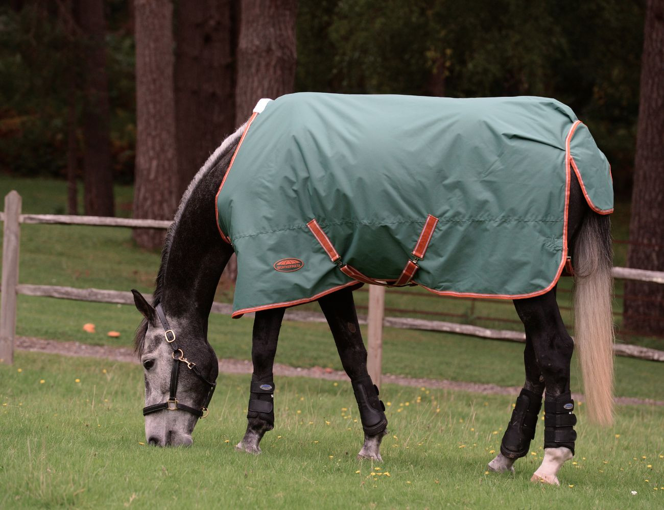 Capa de exterior 200g Weatherbeeta ComFiTec Tyro Verde / laranja queimado / branco