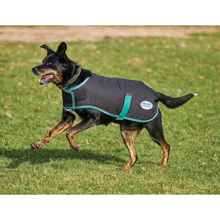 Capa para cão 220g Weatherbeeta Green-Tec 900D