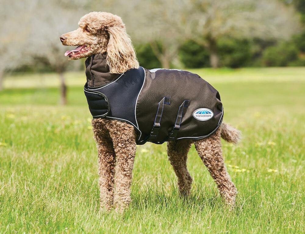 Cobertor para cão 100g Weatherbeeta ComFiTec Ultra Cozi Antracite / azul / branco Cobertor para cão 100g Weatherbeeta ComFiTec Ultra Cozi Antracite / azul / branco