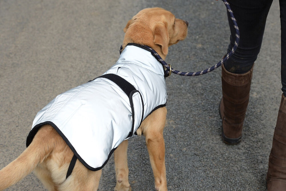 Capa para cão 220g Weatherbeeta refletora Prata
