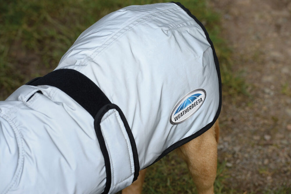 Capa para cão 220g Weatherbeeta refletora Prata Capa para cão 220g Weatherbeeta refletora Prata