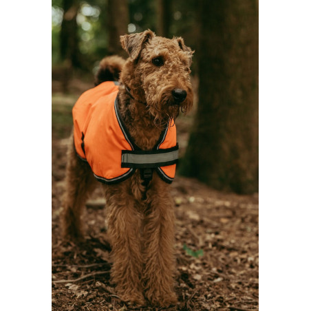 Capa para cão Weatherbeeta 300D refletora