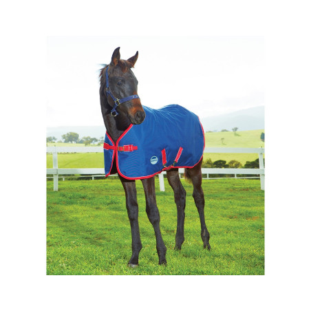 Capa para Poldro 220g Weatherbeeta 1200D