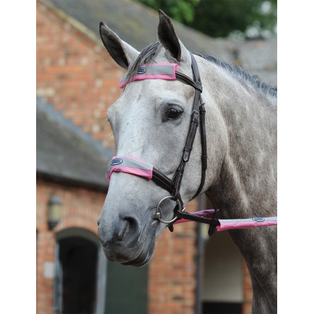 Kit de 4 peças refletoras para cabeçada Weatherbeeta