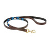 Coleira para cão Weatherbeeta de couro Polo - Cowdray castanho / azul / azul
