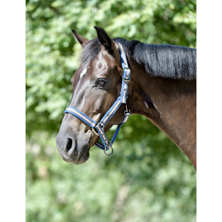 Cabezada Weatherbeeta Coordinate